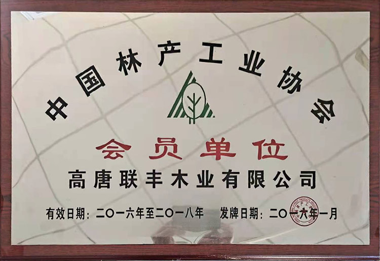 榮譽資質